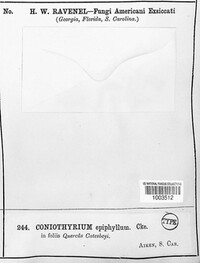 Image Associated With the Occurence